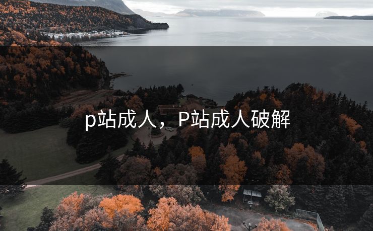 p站成人，P站成人破解