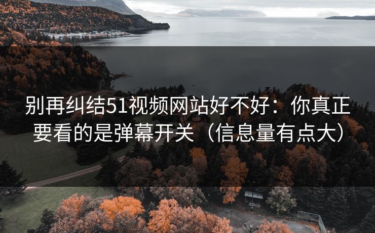 别再纠结51视频网站好不好：你真正要看的是弹幕开关（信息量有点大）